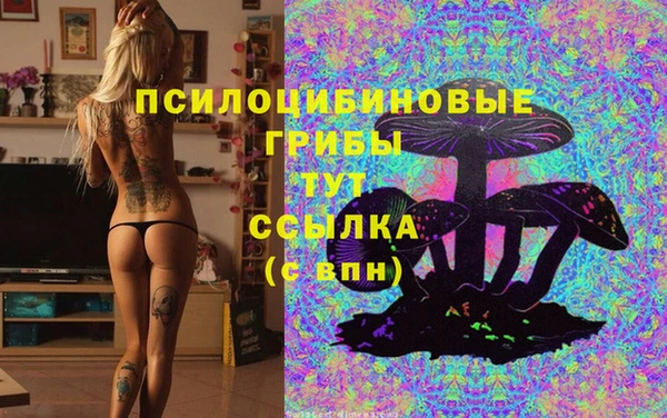 стафф Алексин