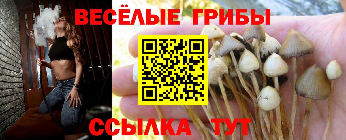 Псилоцибиновые грибы мухоморы Сунжа