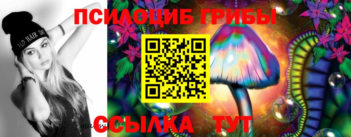 Сунжа  Галлюциногенные грибы Psilocybe  Вход с VPN  Псилоцибиновые грибы Psilocybe 