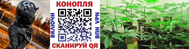 KRAKEN ссылки  Сунжа  МАРИХУАНА план 